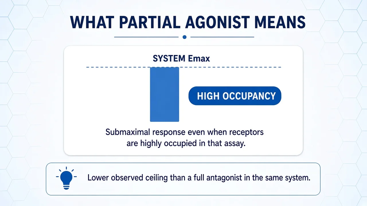 Infographic: partial agonist bar below system Emax despite high occupancy